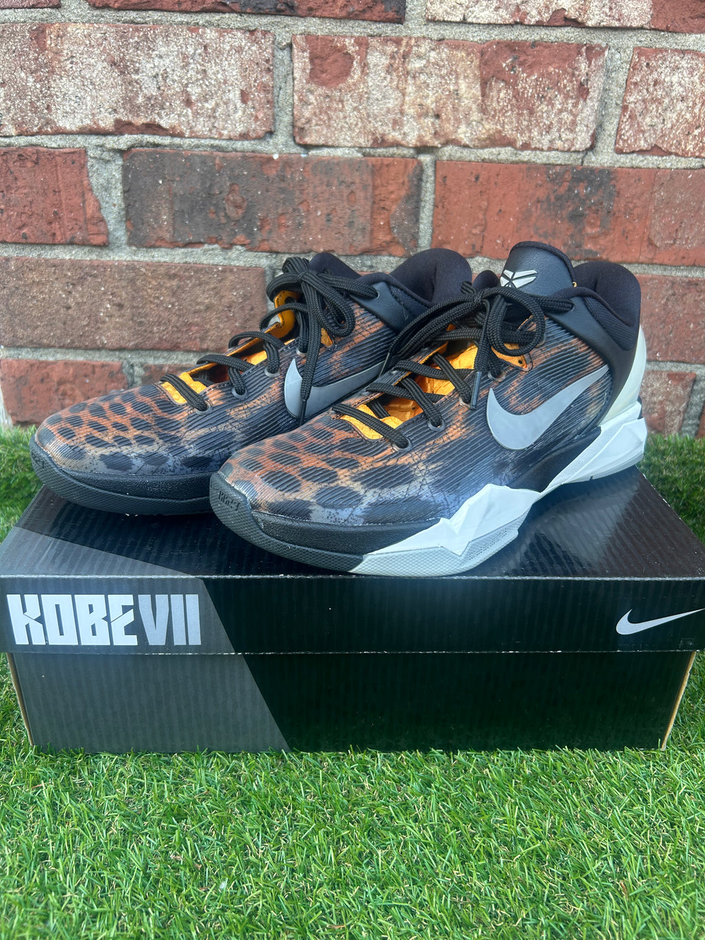 Kobe 7 Cheetah