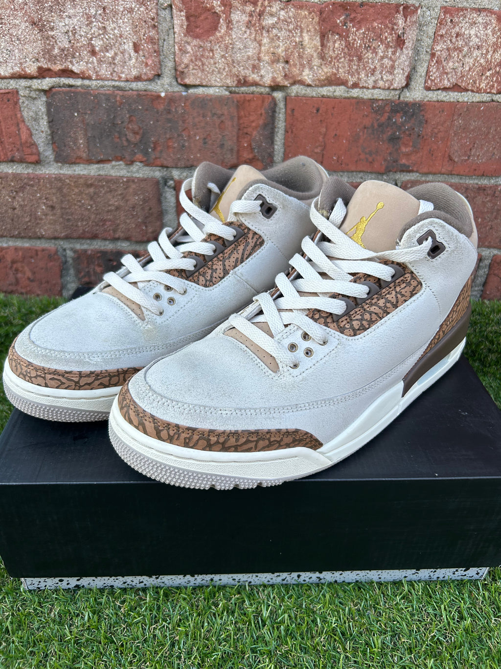 Jordan Retro 3 Palomino