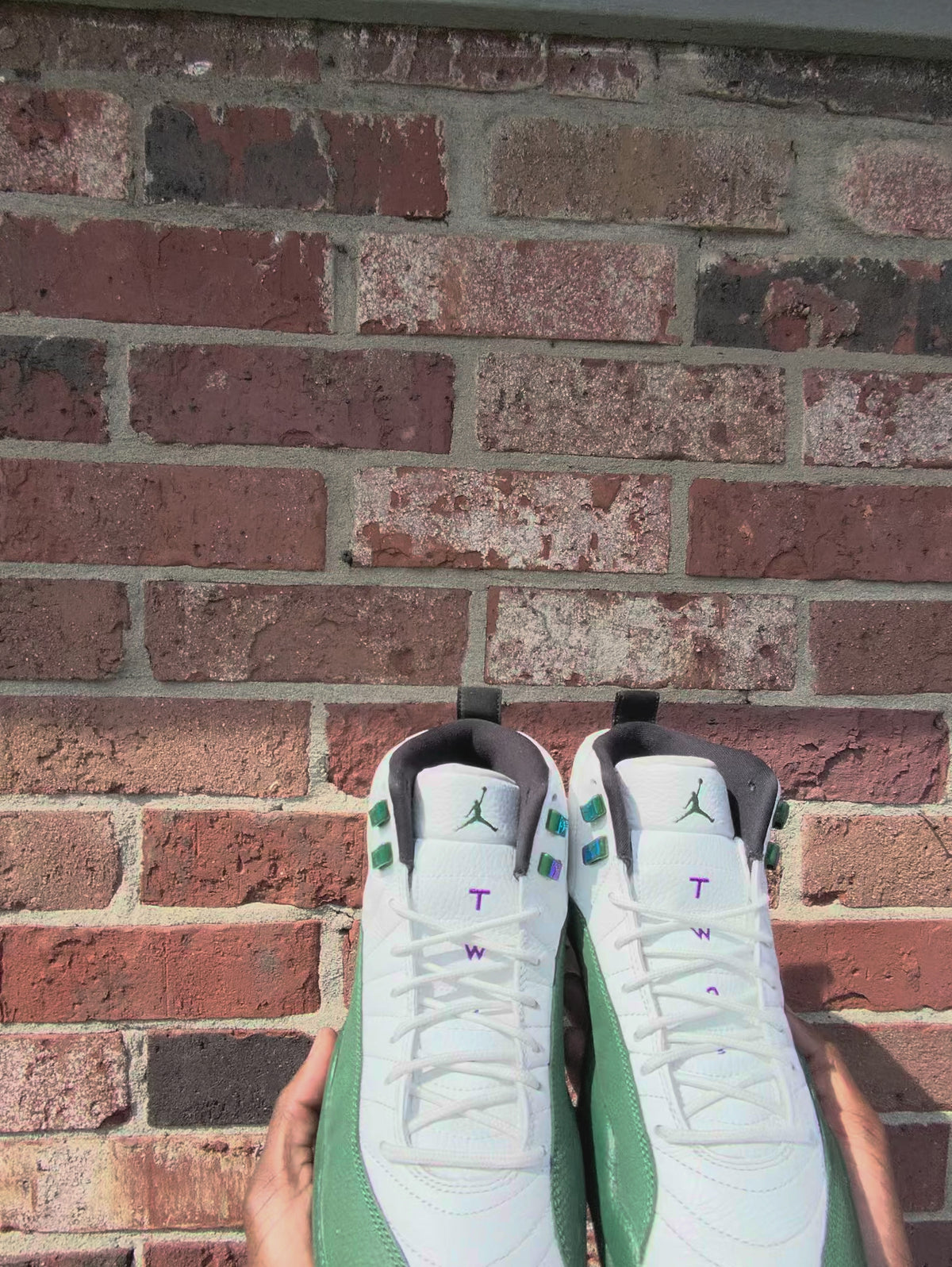 Jordan Retro 12 Bucks