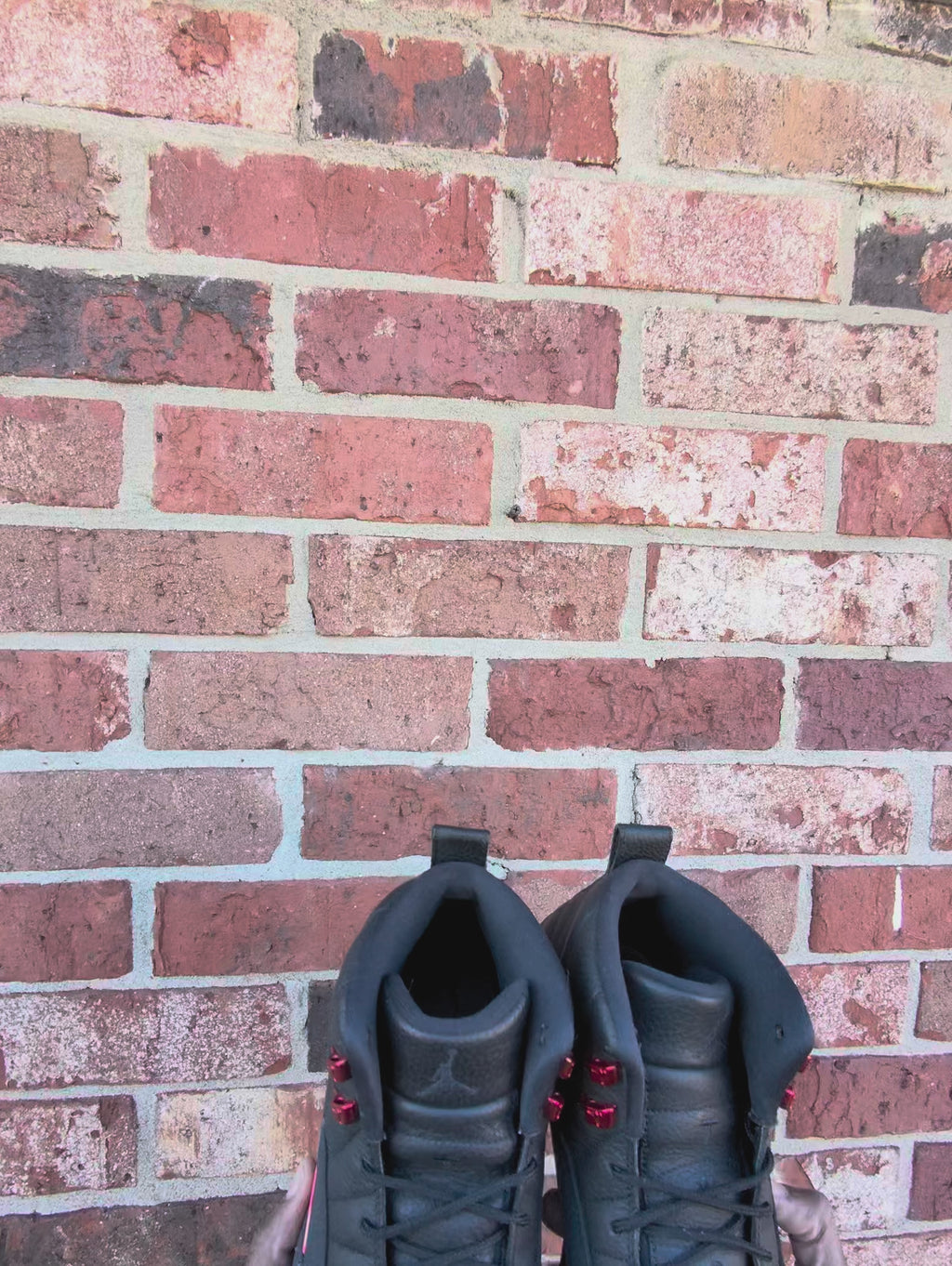 Jordan Retro 12 Bloodline