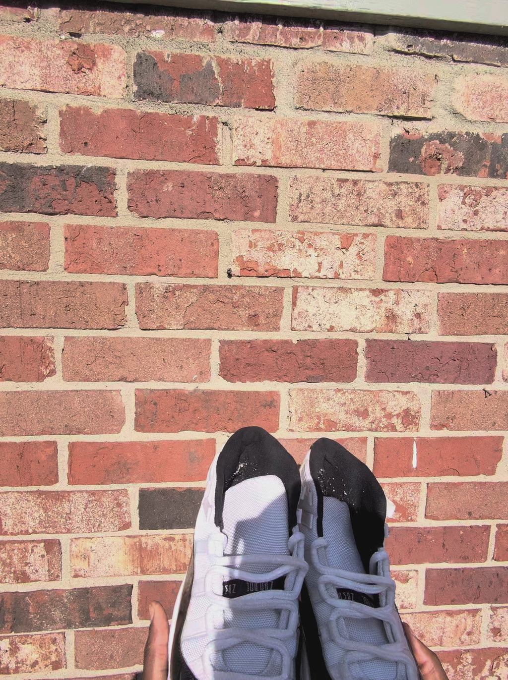 Jordan retro 11 Concord