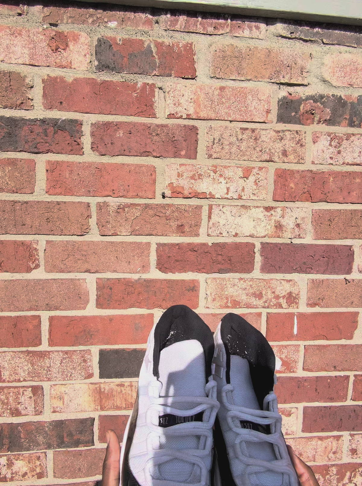 Jordan retro 11 Concord