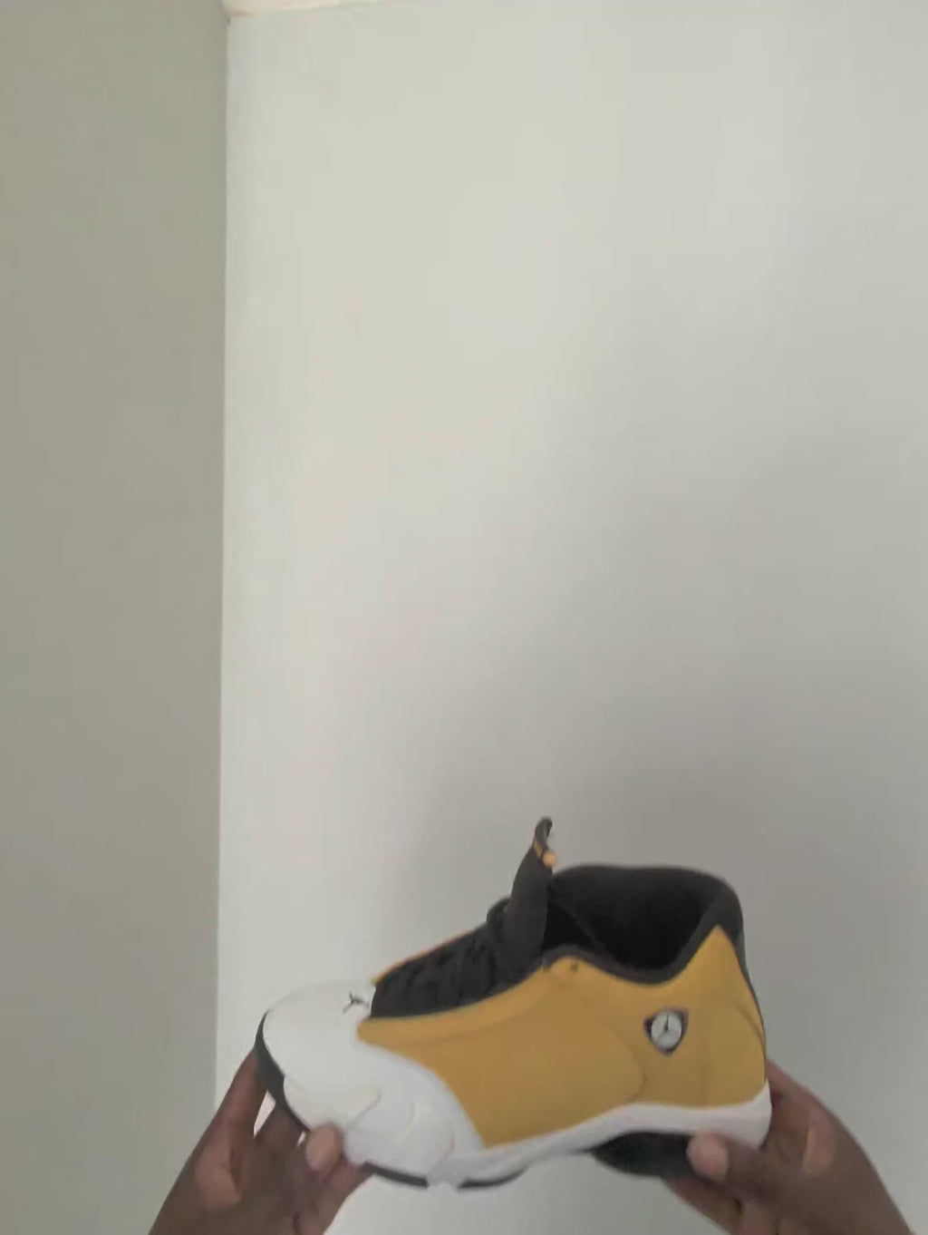 Jordan 14 Retro Light Ginger (2022)