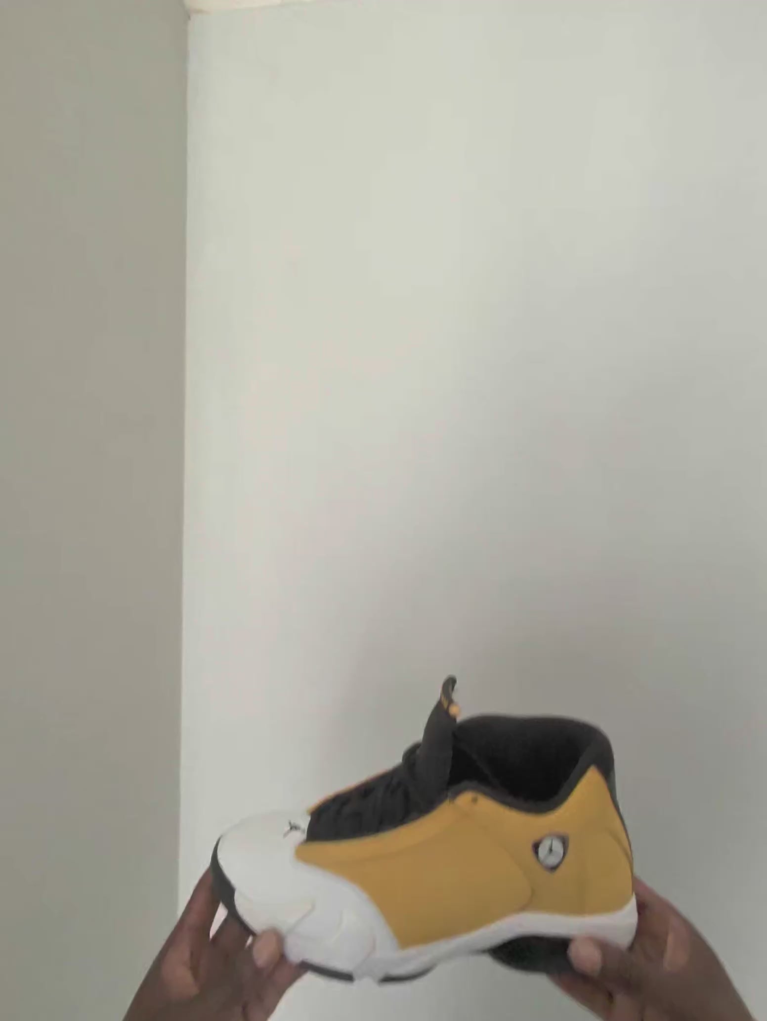 Jordan 14 Retro Light Ginger (2022)